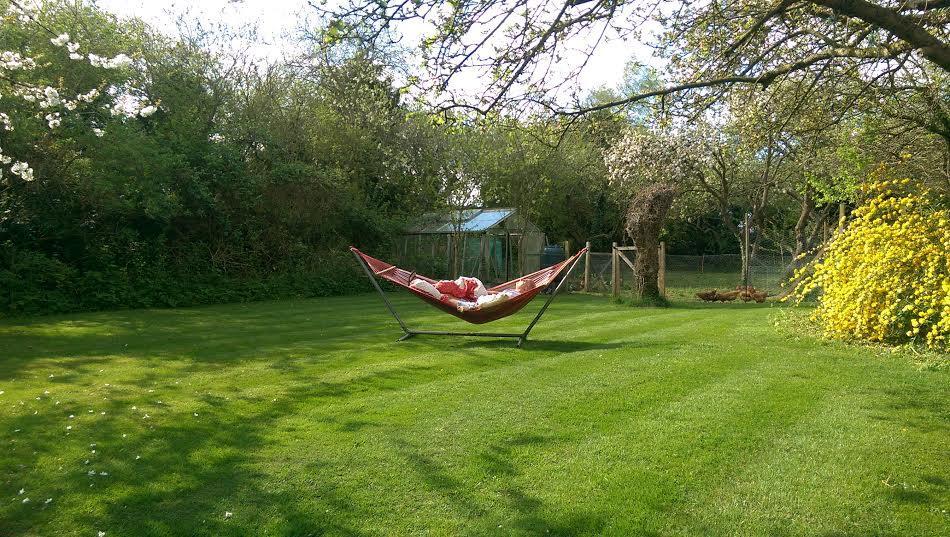 Orchard Pond Bed & Breakfast Duxford Luaran gambar